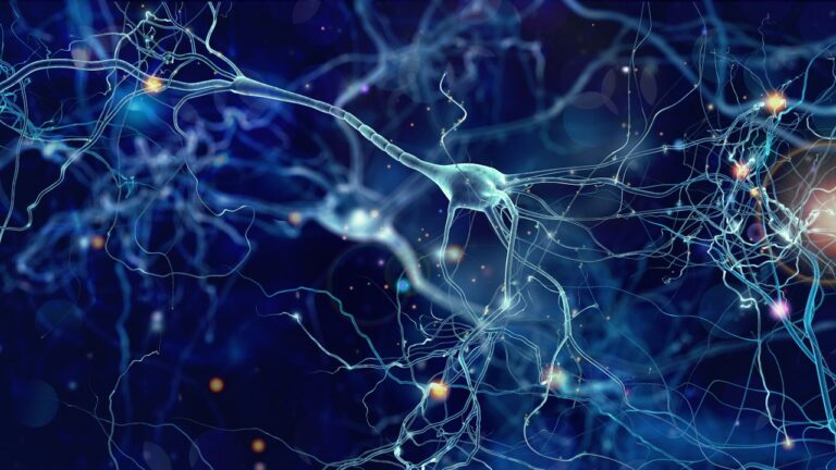 Neurology