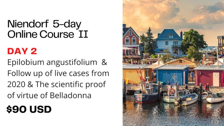 Niendorf Course II (2021) Day 2